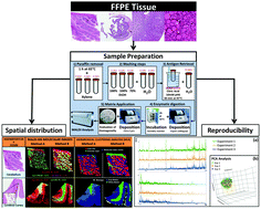 Graphical Abstract